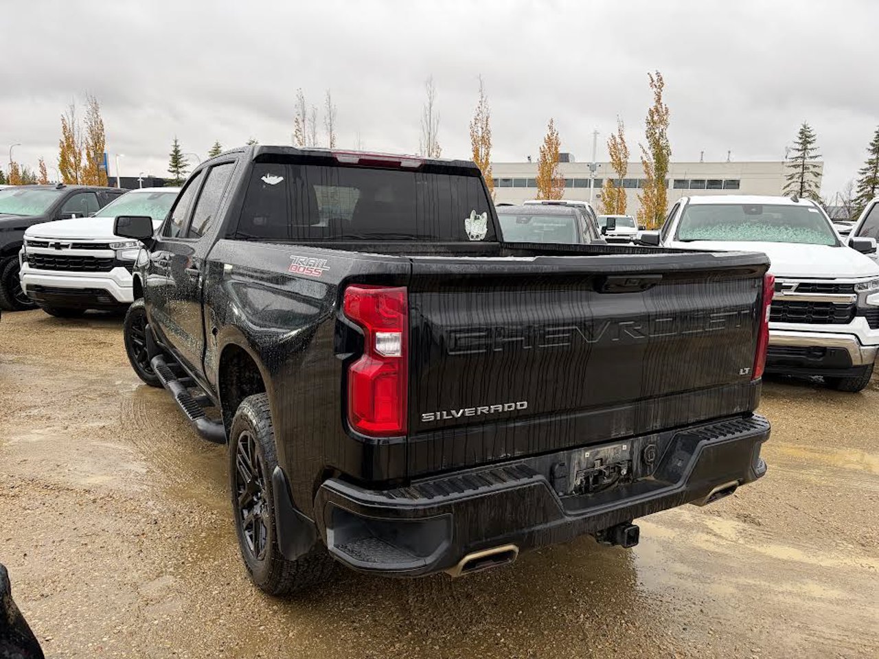 2024 Chevrolet Silverado 1500 4WD Crew Cab 147 LT Trail Boss Black Sherwood Park - photo #3