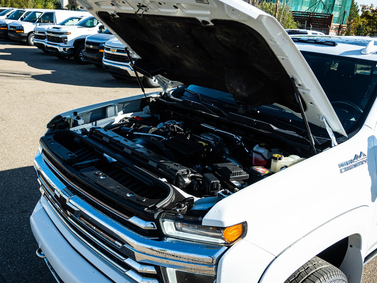 2023 Chevrolet Silverado 3500HD 4WD Crew Cab 159 High Country White Sherwood Park - photo #6