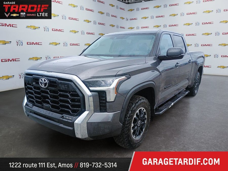 2024 TOYOTA Tundra 2024 Brown