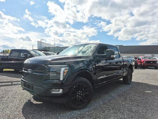 Ford F-150 PLATINE 2026 Noir agate métallisé