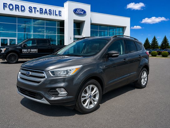 Ford Escape 2017 2017 Gris