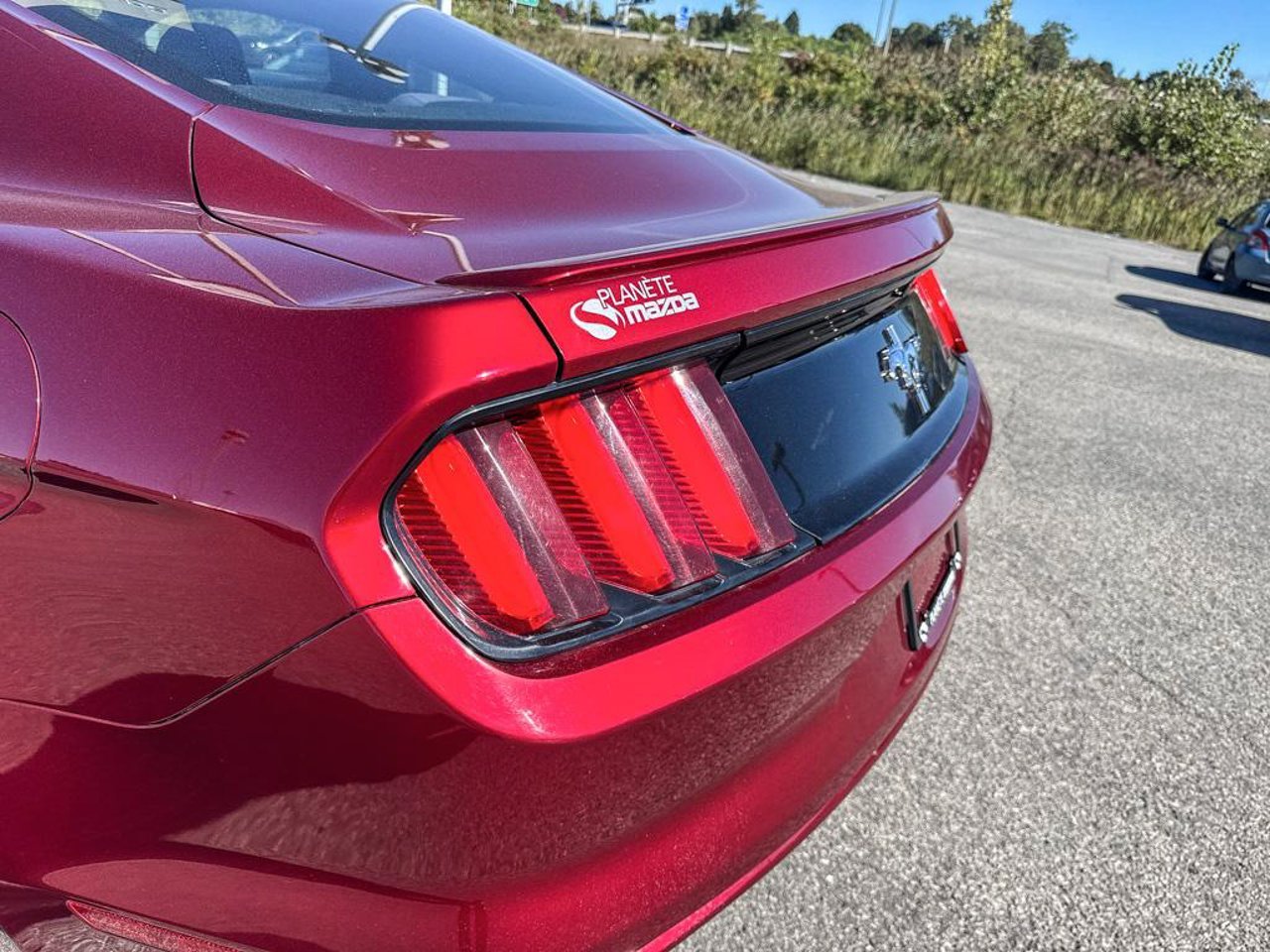 2016 Ford Mustang 1FA6P8AM3G5308367 Red Mirabel - photo #13