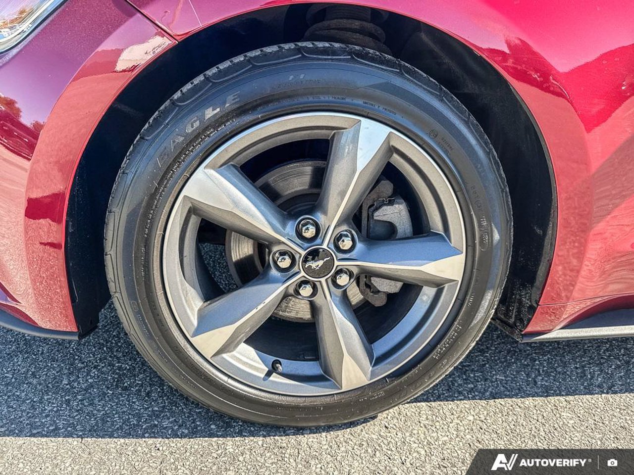 Ford Mustang 1FA6P8AM3G5308367 2016 Rouge Mirabel - photo #8