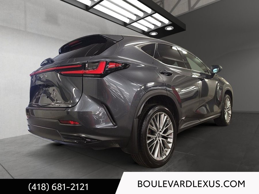 Lexus NX 2023 2023 Gris