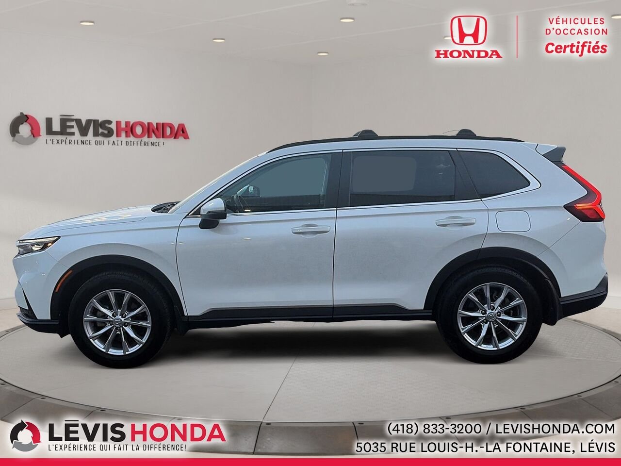 2023 Honda CR-V EX-L AWD EX-L Traction Intégrale White Lévis - photo #12