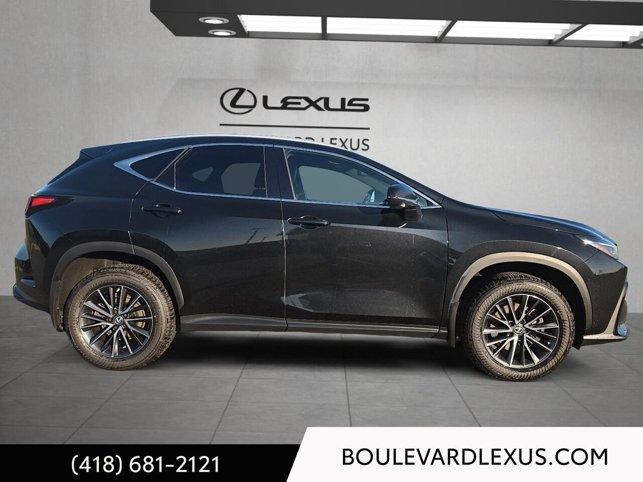 2022 Lexus NX 19917A | NX 350h TI Black Quebec - photo #2