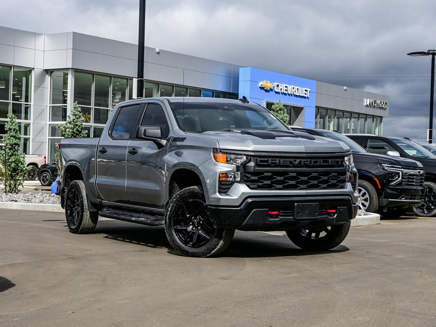 2024 Chevrolet Silverado 1500 2024 Grey