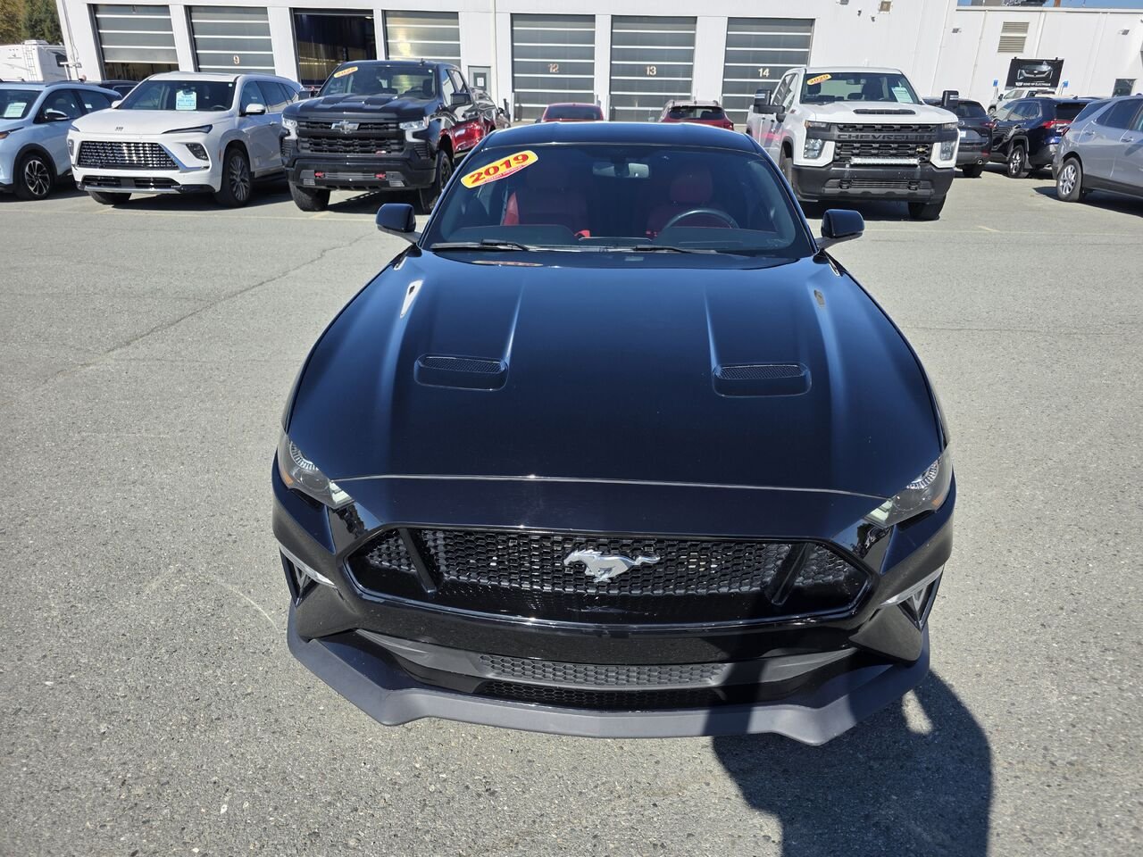 Ford Mustang GT à toit fuyant 2019 Noir Rouyn-Noranda - photo #10