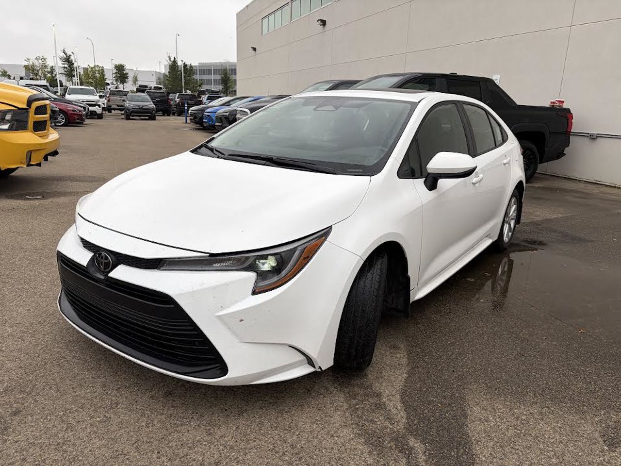 2024 Toyota Corolla LE CVT White Sherwood Park - photo #2