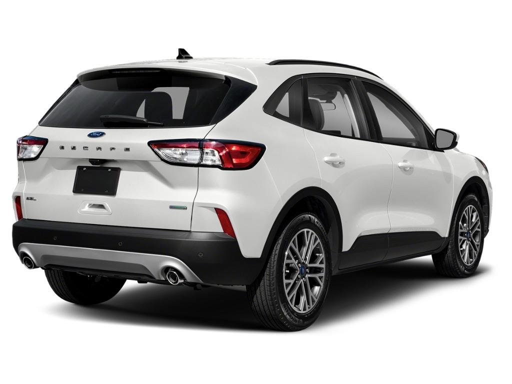 Ford Escape SEL 2020 White Ottawa & Gatineau - photo #2