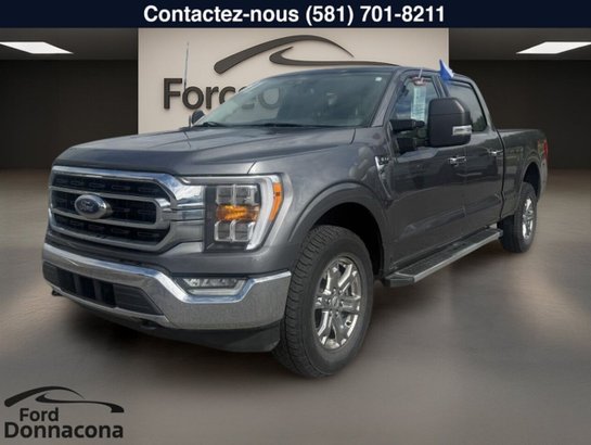 Ford F-150 2022 2022 Gris