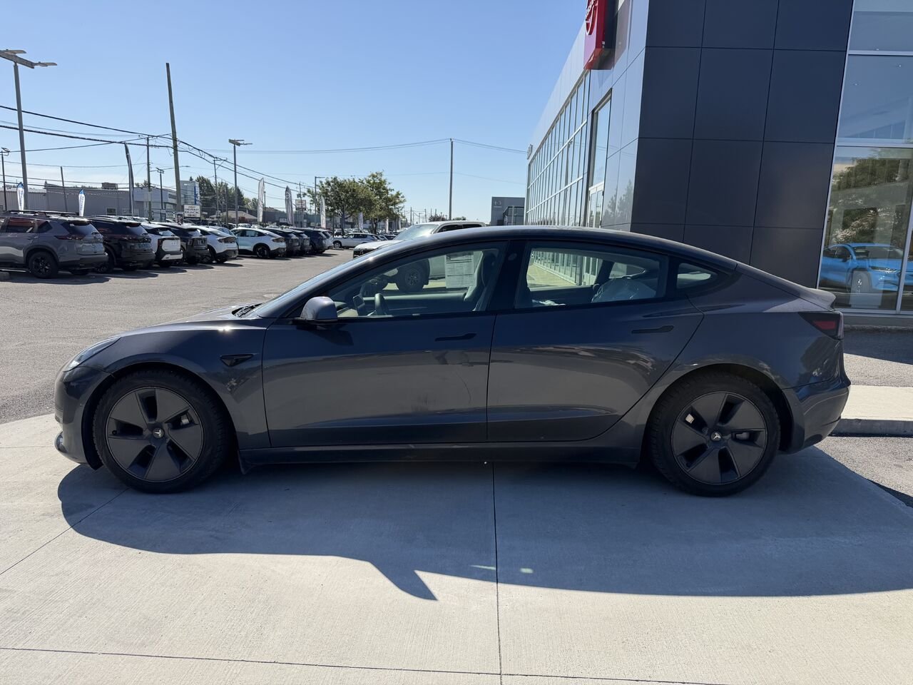 Tesla Model 3 Autonomie standard Plus PA 2021 Argent Châteauguay - photo #6