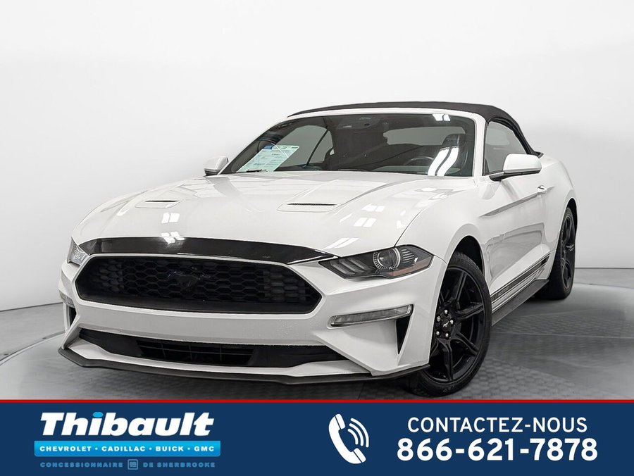 Ford MUSTANG 2.3L EcoBoost Convertible Groupe 101A 2020 Blanc