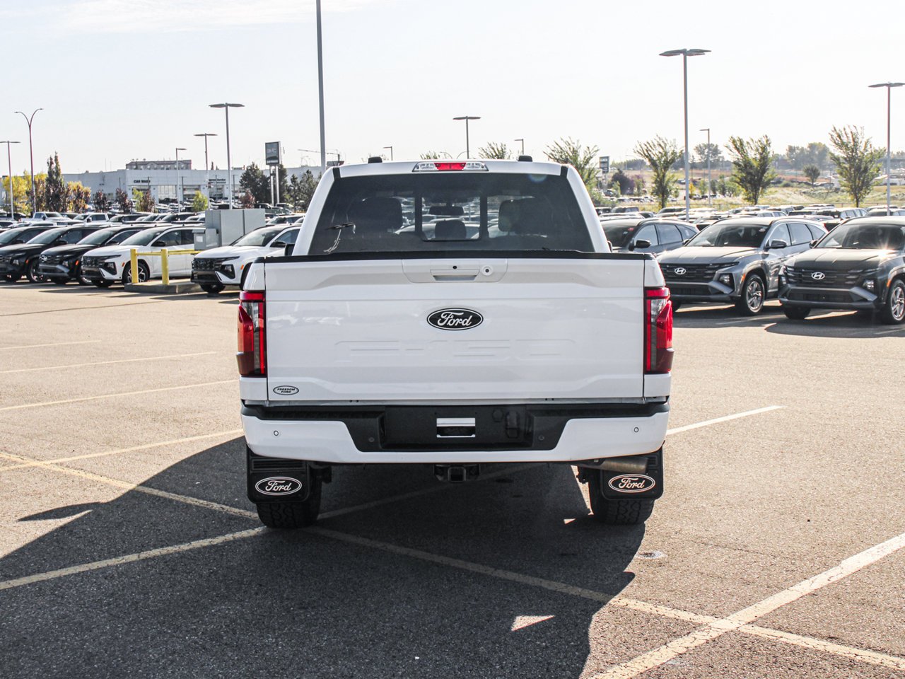 2025 Ford F-150 XLT 4WD SuperCrew 5.5' Box White Sherwood Park - photo #6