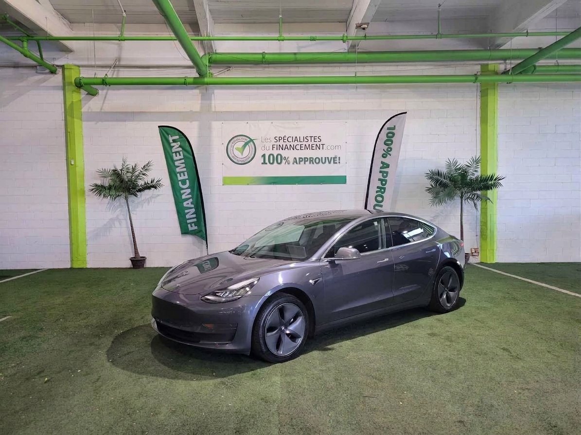 2019 Tesla Model 3 Silver  - photo #0