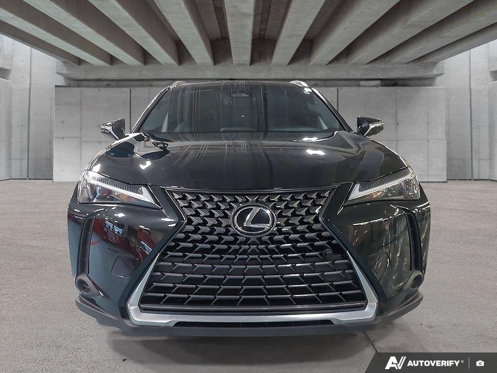 2025 Lexus UX 2600680A | UX 300h Black Edmonton - photo #1