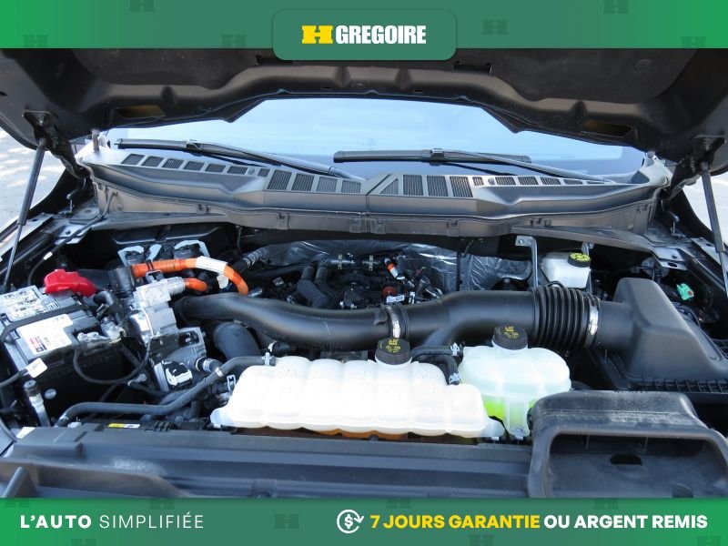 Ford F150 2024 Gris Laval - photo #31