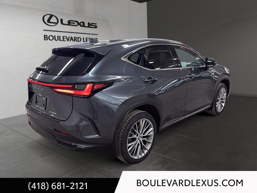 Lexus NX 350h Luxe 2024 Gris