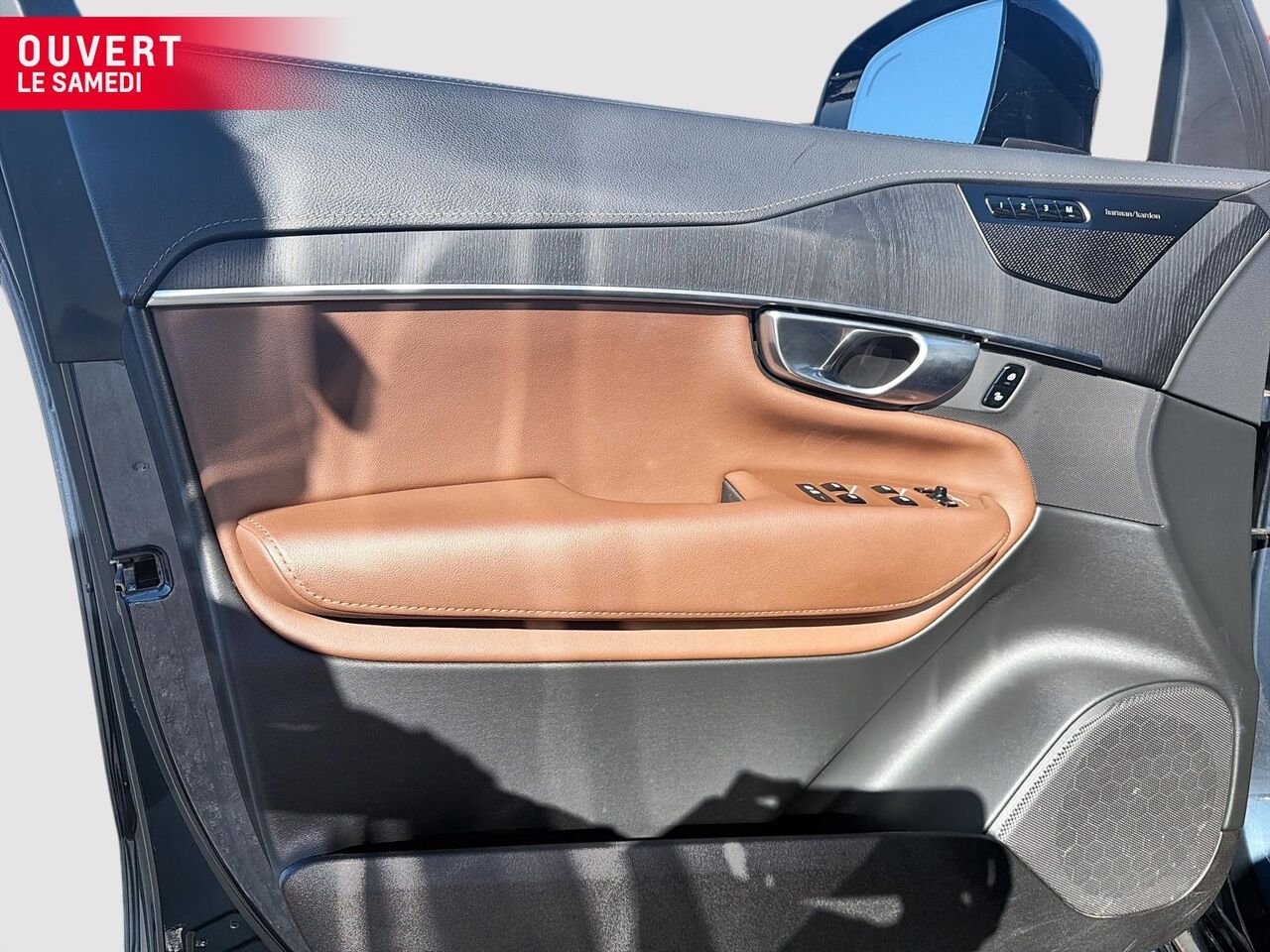 2023 Volvo XC90 Blue  - photo #11