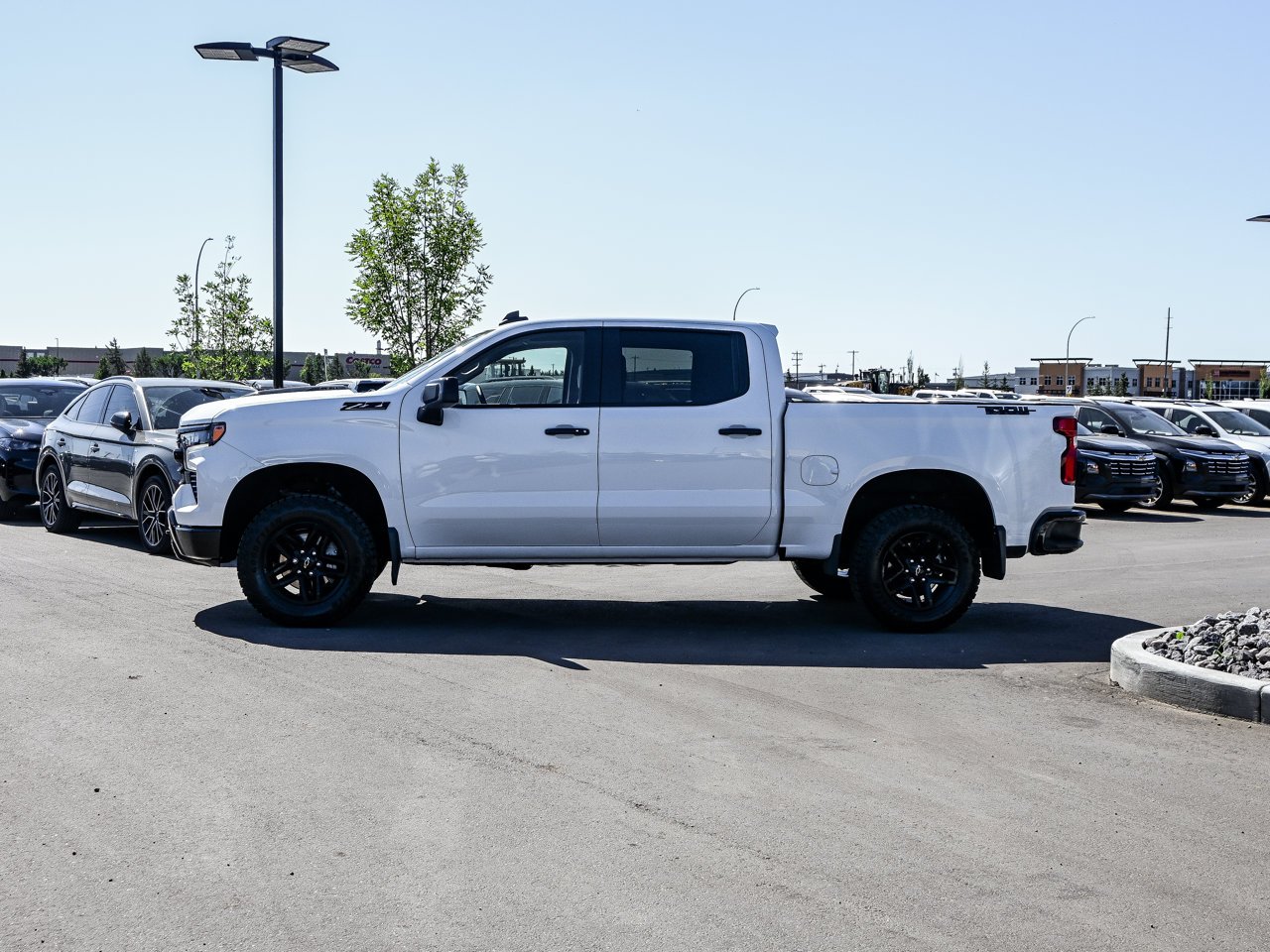 2025 Chevrolet Silverado 1500 4WD Crew Cab 147 LT Trail Boss White Sherwood Park - photo #9