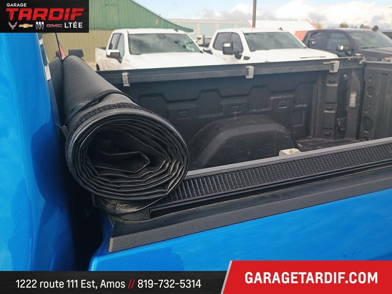 CHEVROLET Silverado 1500 43978A 2023 Bleu Amos - photo #9