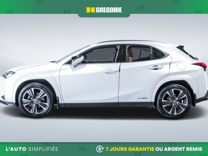 2022 Lexus UX 2022 White