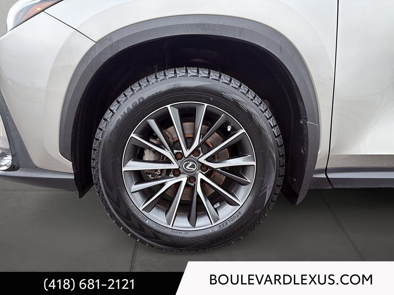Lexus NX 19916A | NX 250 TI 2022 Argent Québec - photo #6