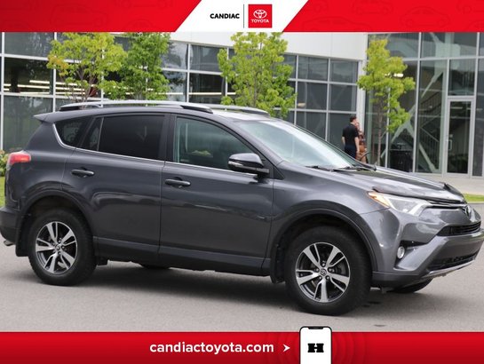 2017 Toyota Rav 4 2017 Grey