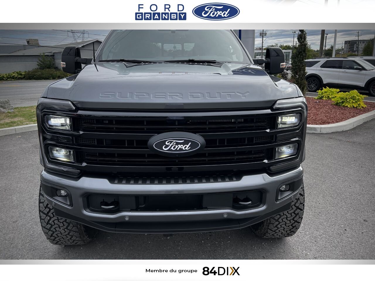 Ford SUPER DUTY F-250 SRW 2026 Gris Granby - photo #6