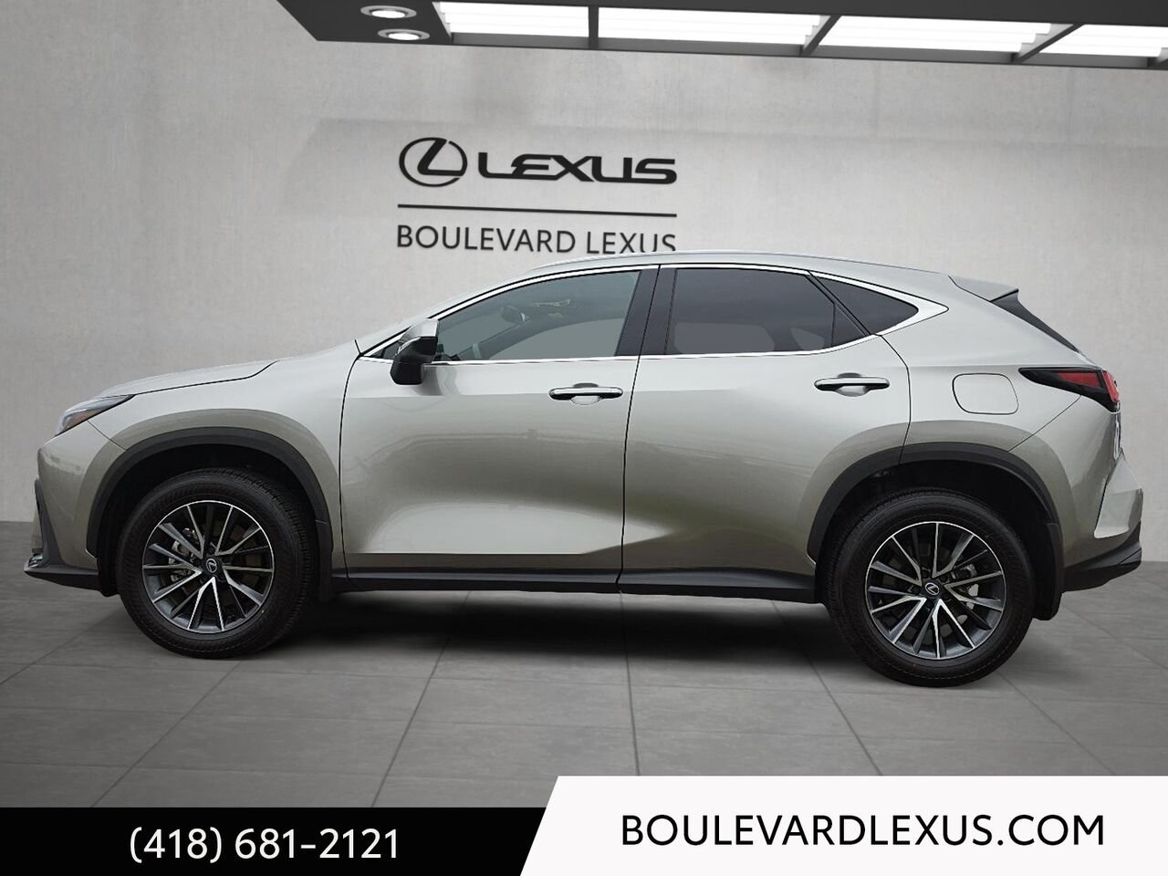 LEXUS NX 20095A | NX 350H 2026 Argent Québec - photo #5