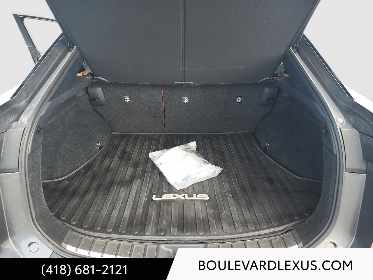 Lexus RZ 19980A | RZ 450e TI 2023 Gris Québec - photo #21