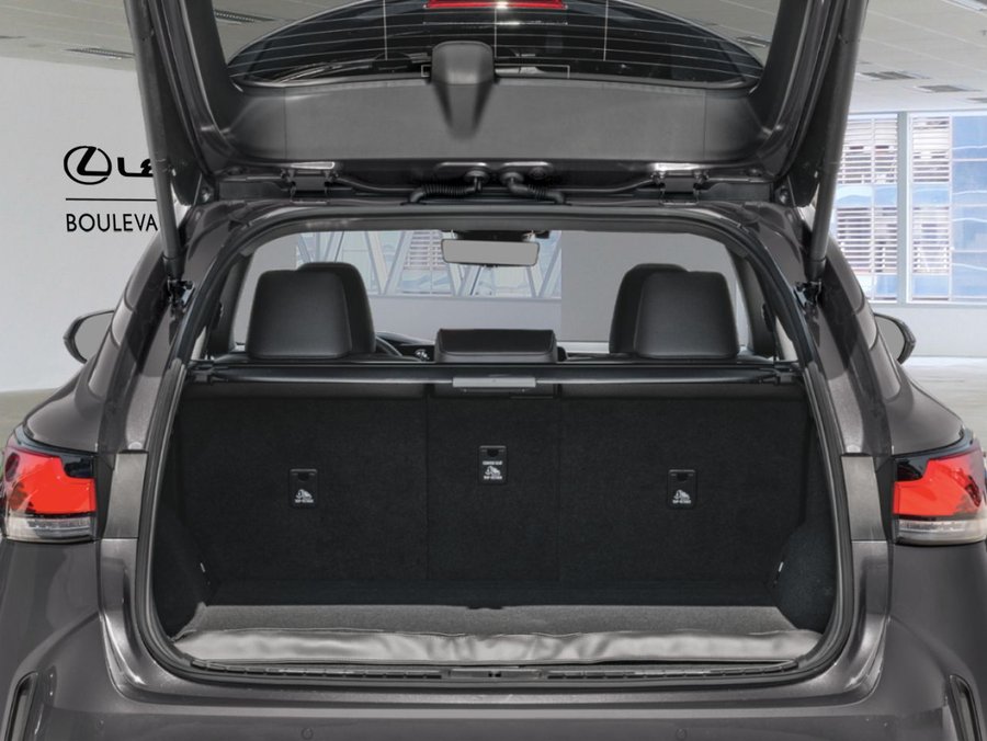 LEXUS RX 2026 2026 Iridium