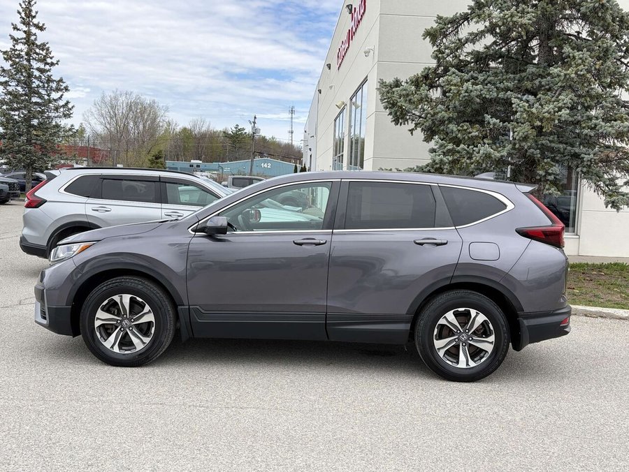 Honda CR-V 2022 2022 Gris