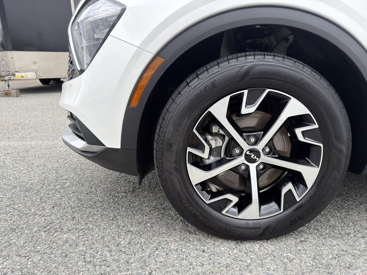 Kia Sportage 2024 Blanc Thetford Mines - photo #7