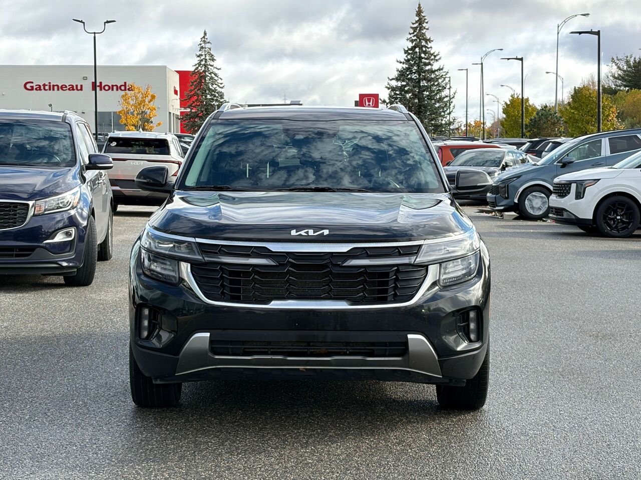 Kia Seltos 2025 Noir Gatineau - photo #1
