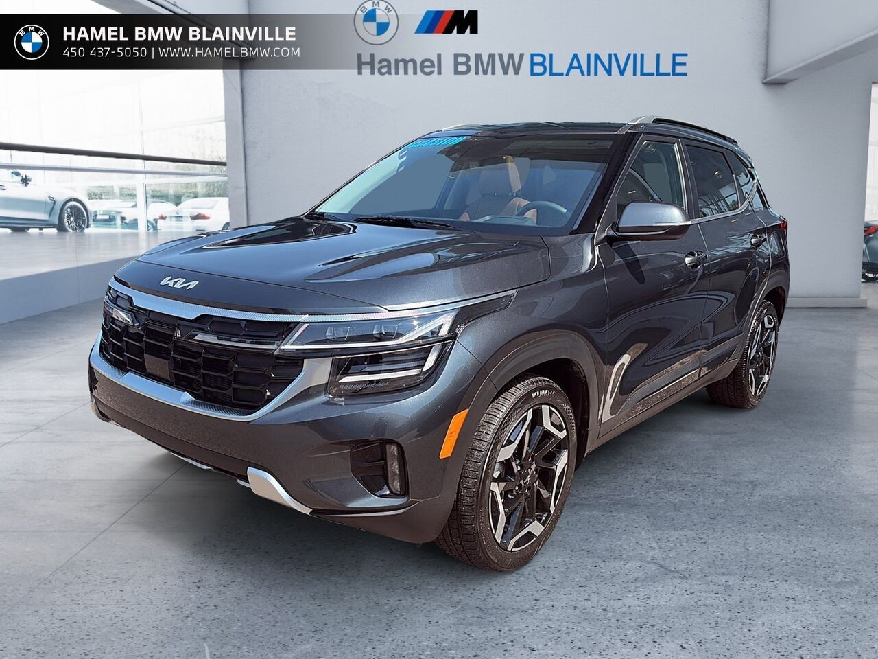 Gray 2025 Kia Seltos SUV / Crossover All-Wheel Drive Automatic