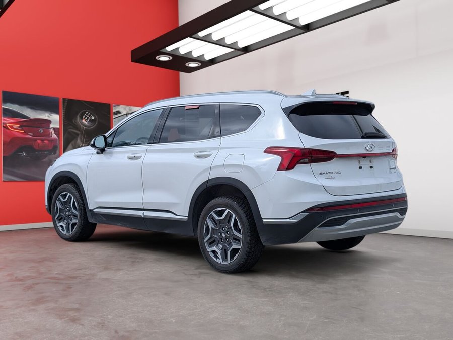 Hyundai Santa Fe Hybrid 2022 2022 Blanc