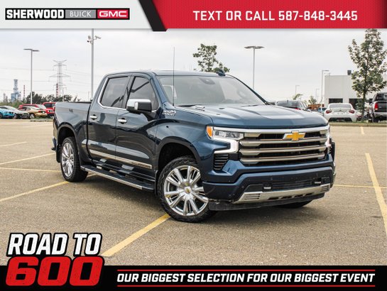 2022 Chevrolet Silverado 1500 2022 Blue