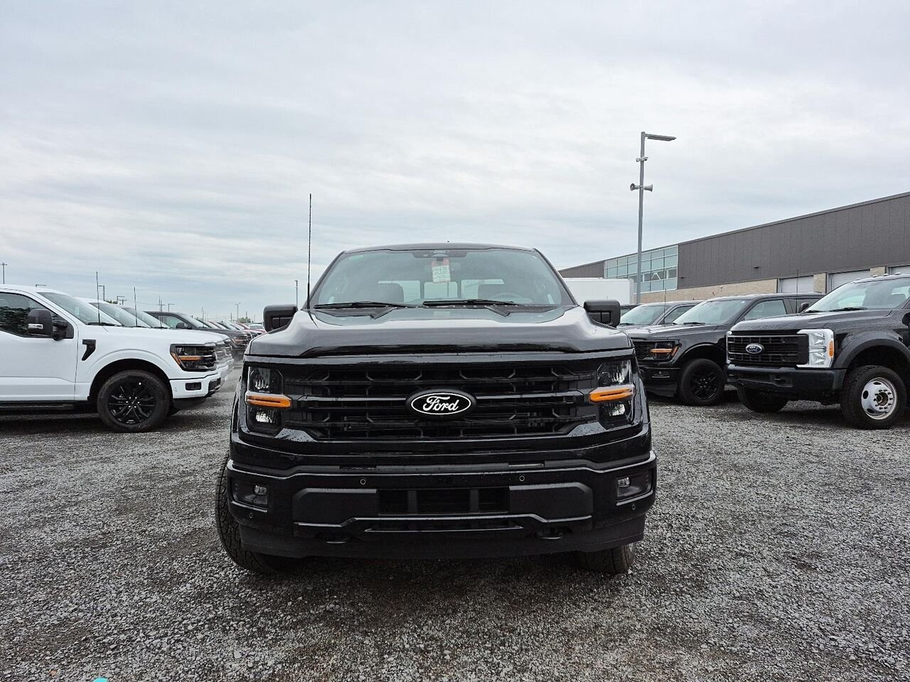 2026 Ford F-150 Agate Black Metallic Saint-Jérôme - photo #1