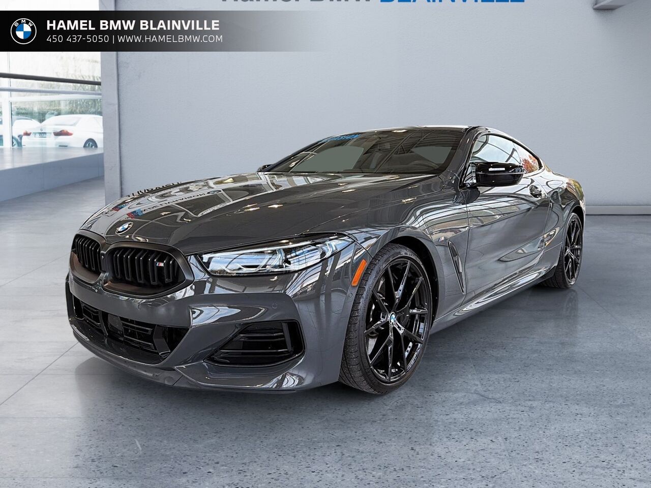 Gray 2025 BMW 8 Series Coupe All-Wheel Drive Automatic
