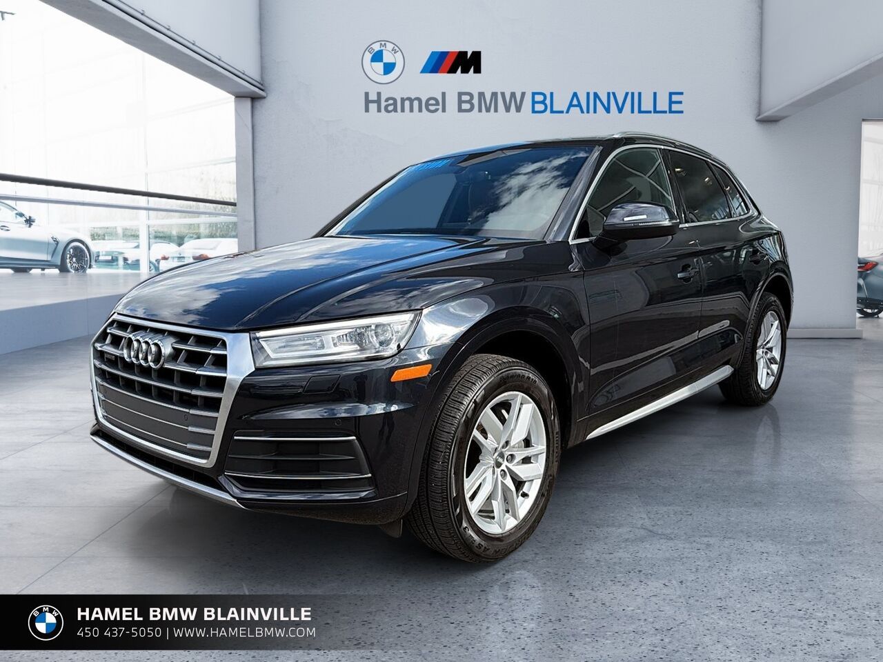 Blue 2019 Audi Q5 SUV / Crossover  Automatic