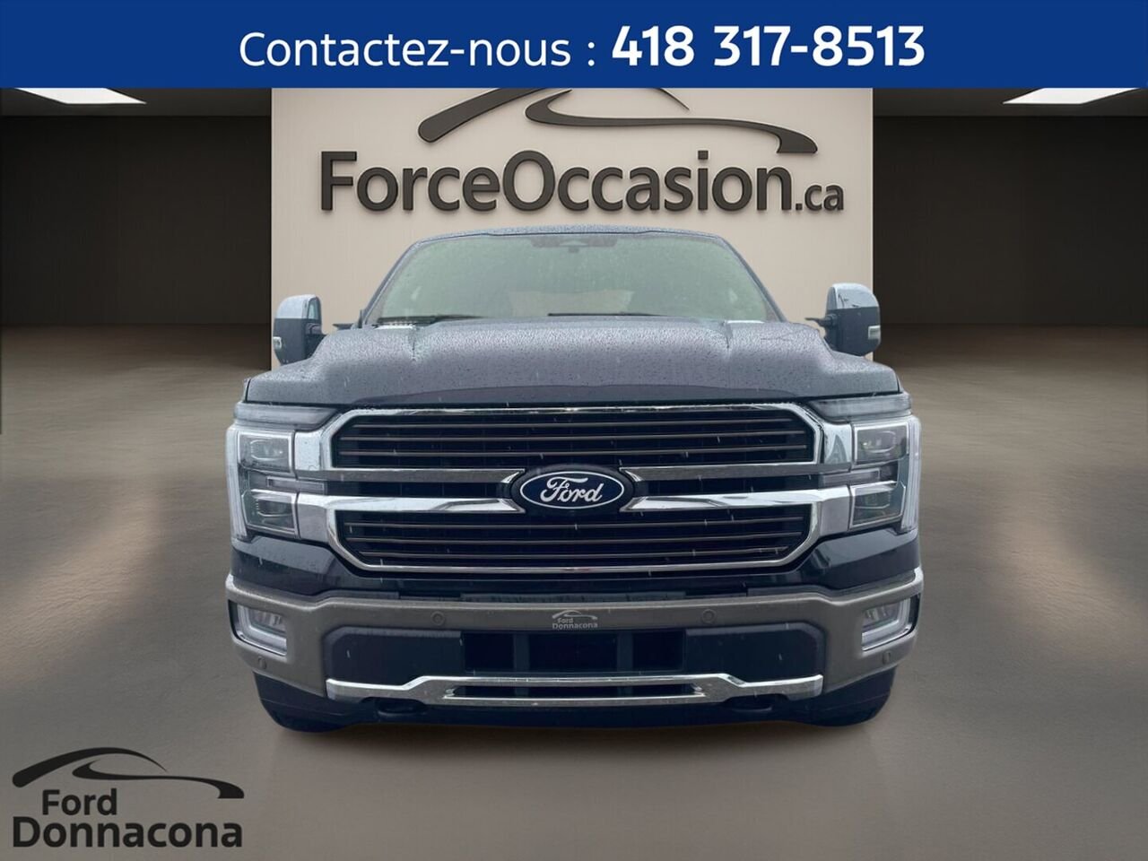 2025 Ford F-150 Black  - photo #1