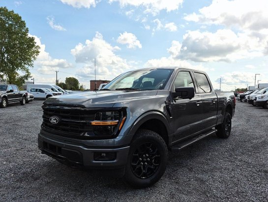 Ford F-150 2026 2026 Gris marais