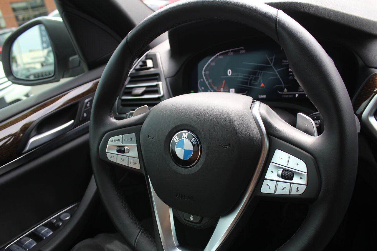 BMW X3 VIN: 5UX53DP01R9T84386 2024 Blanc Sainte-Rose - photo #12