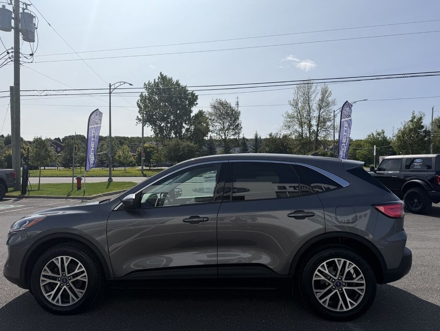 Ford ESCAPE 2022 2022 Gris