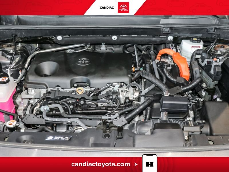 2023 Toyota Rav 4 Grey Blainville - photo #37