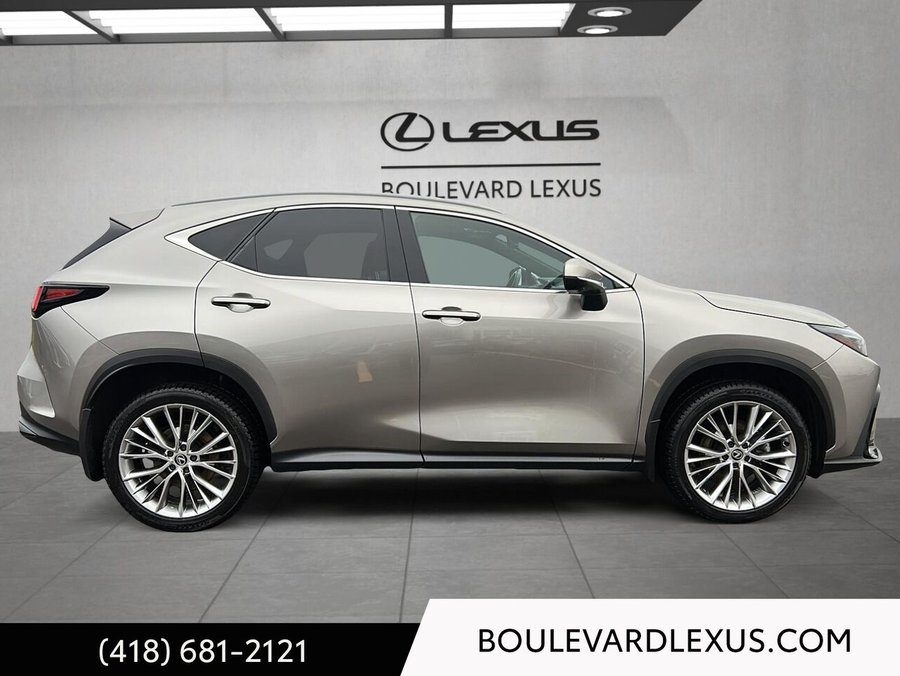 Lexus NX NX 350h TI 2024 Argent
