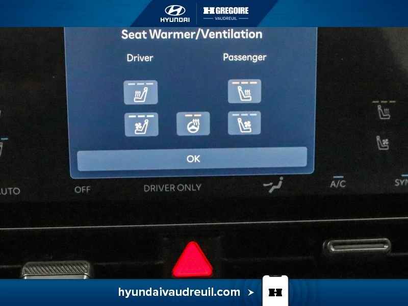 2025 Hyundai IONIQ Grey Blainville - photo #32