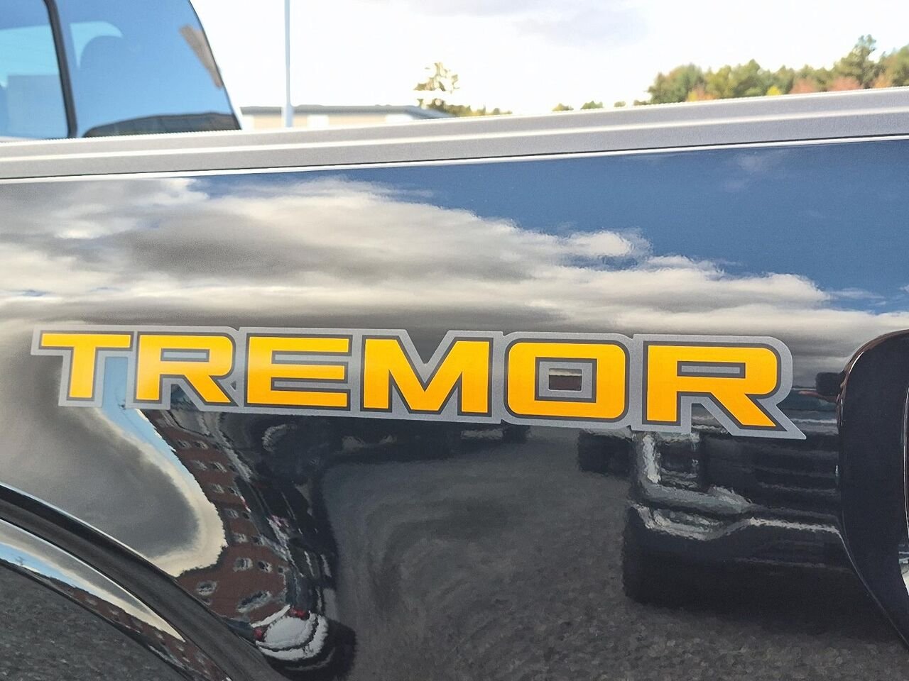 2025 Ford F-150 Black Saint-Jérôme - photo #25