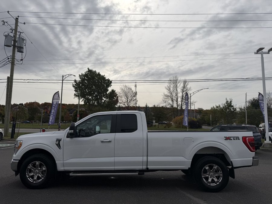 Ford F-150 XLT cabine double 4RM caisse de 8 pi 2023 Blanc